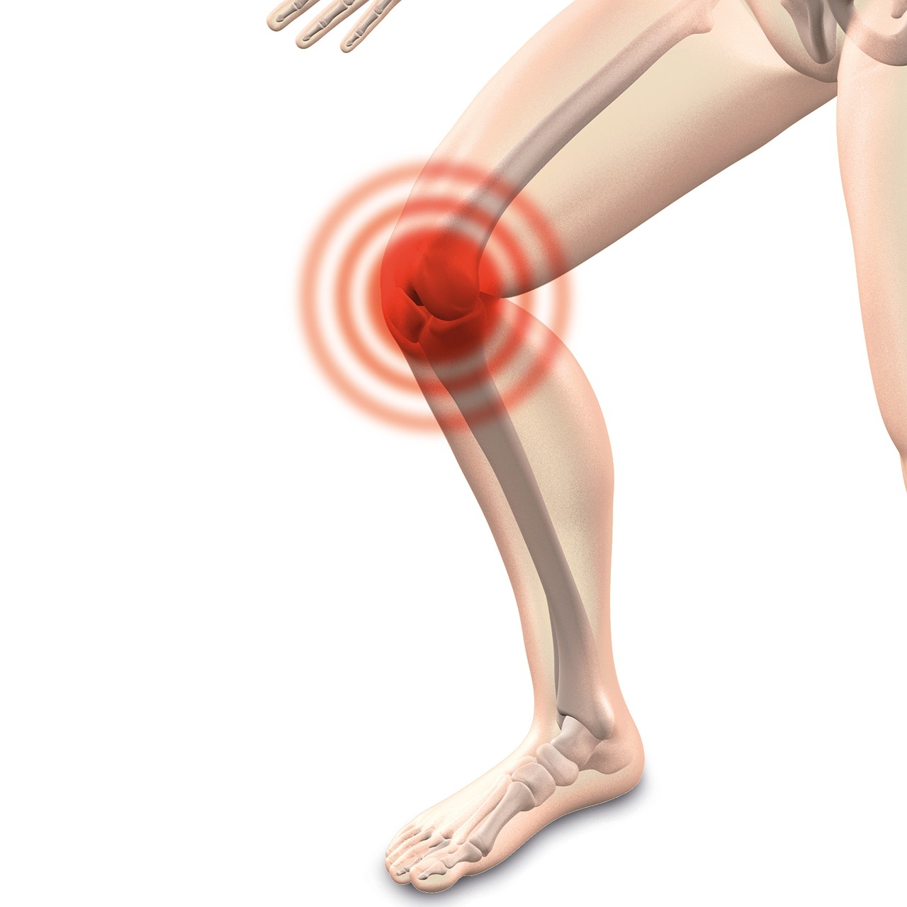 fisioterapia ginocchio