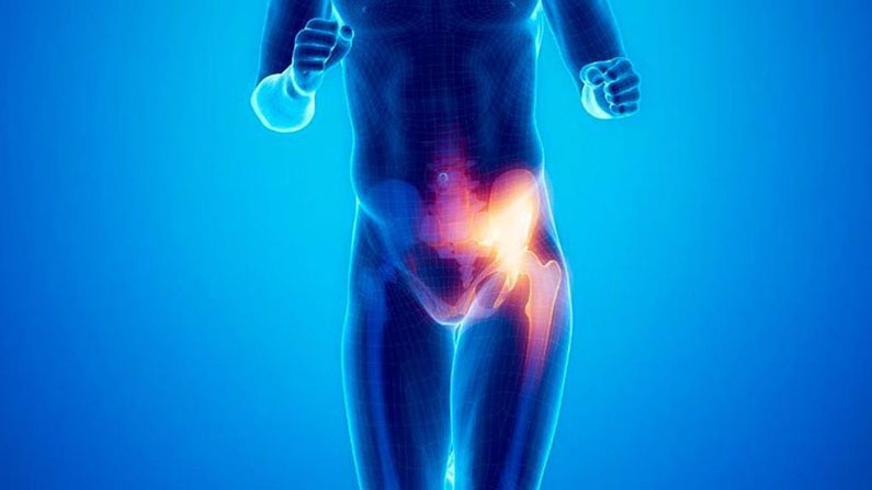 pubalgia-fisioterapia